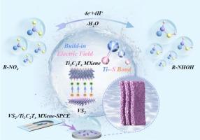 Interfacial engineering of VS2/Ti3C2Tx MXene heterojunctions for portable electrochemical sensing of nitrofurantoin residues in food and water samples
