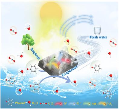 A Self-floating Photothermal/Photocatalytic Evaporator for Simultaneous High-Efficiency Evaporation and Purification of Volatile Organic Wastewater