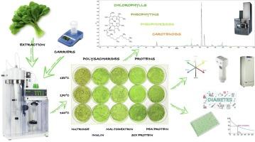 Polysaccharide- and protein-based carriers as a key strategy for obtaining microencapsulated chlorophyll-rich extracts: UPLC-PDA/ESI-QToF-MS characterization and evaluation of antidiabetic potential