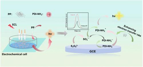 An Electrochemiluminescence-Activated Amphiphilic Perylene Diimide Probe: Enabling Highly Sensitive and Selective Detection of Polypropylene Nanoplastics in the Environment