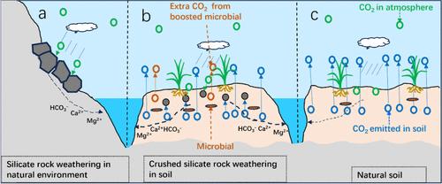 Rethinking CO2 Removal Efficiency in Enhanced Rock Weathering
