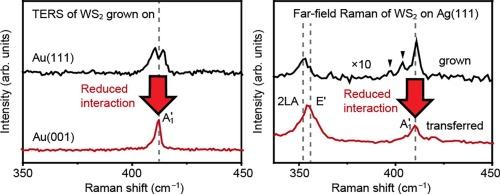 Raman signatures of monolayer WS2 on Au(001), Au(111), and Ag(111) studied at the atomic level