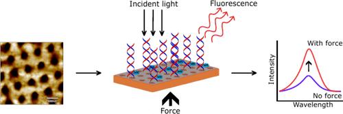 Piezoelectric-Driven Amplification of Plasmon-Enhanced Fluorescence for Advanced Sensing Applications