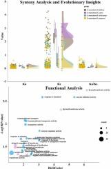 Comprehensive analysis of raffinose family oligosaccharide metabolism genes in Salix matsudana: Expression patterns and roles in abiotic stress adaptation