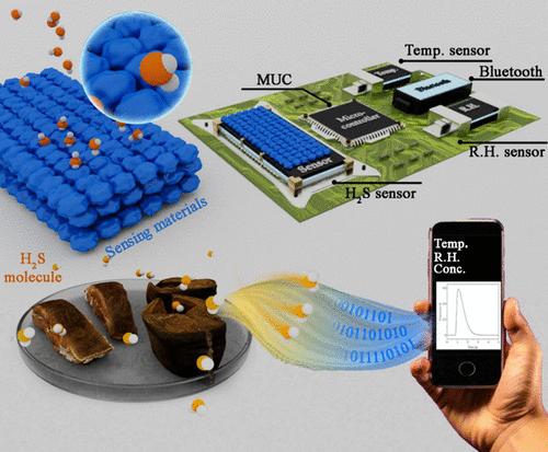 Robust H2S Sensing with Pt/Fe-TiN Fuel Cell Sensors for Cold-Chain Meat Spoilage Monitoring