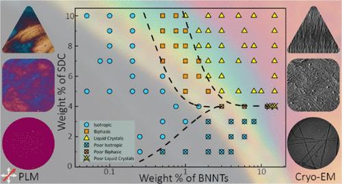 Lyotropic Liquid Crystalline Phase Behavior of Boron Nitride Nanotube Aqueous Dispersions