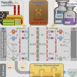 Stacked multi-membrane electrochemical system achieving simultaneous salt recovery and organics degradation in high salinity wastewaters