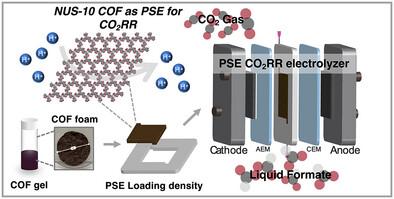Covalent Organic Frameworks as Porous Solid Electrolytes for Electrochemical CO2 Reduction