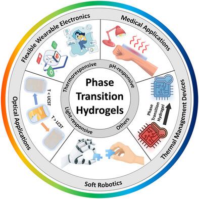 Multifunctional Bioelectronics Achieved by Empowering Hydrogels with Phase-Transition Ability