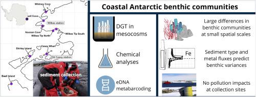 Metal lability, sea ice cover, and physicochemical properties of sediments as predictors of benthic communities in Antarctic coastal environments
