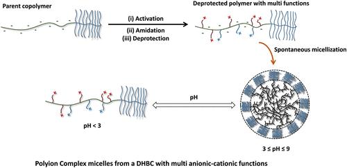 Synthesis of a Double-Hydrophilic Block Copolymer with a Multifunctional Block: Spontaneous Formation of Polyion Complex Micelles from a Single Cationic–Anionic Copolymer