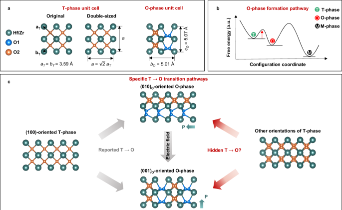 Hidden structural phase transition assisted ferroelectric domain orientation engineering in Hf0.5Zr0.5O2 films