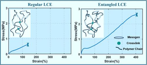 Enhancing Thermo-Mechanical Properties of Liquid Crystal Elastomers through Chain Entanglements