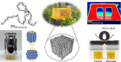 Lightweight Copolymerized Polyimide Foams Containing Trifluoromethyl and Siloxane Moieties for Thermal Insulation and Hydrophobic Applications