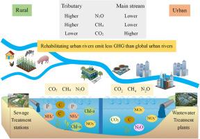 Raising wastewater collection and discharge standards will reduce greenhouse gas emissions from metropolitan rivers