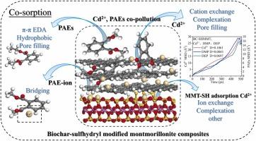 Co-sorption of phthalate esters and Cd2+ on biochar-sulfhydryl modified montmorillonite composites