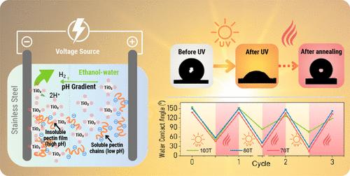 Photo- and Thermoresponsive Reversible Wettability and Corrosion Protection of Electrophoretically Deposited TiO2/Pectin Composite Coatings
