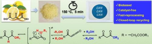 Catalyst-Free Covalent Adaptable Polyester Networks Based on Dissociative Transesterification Chemistry