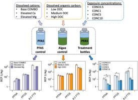 Effects of dissolved cations, dissolved organic carbon, and exposure concentrations on per- and polyfluoroalkyl substances bioaccumulation in freshwater algae