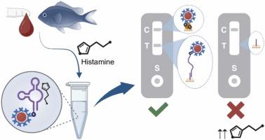 Aptamer Lateral Flow Assay for the Rapid Detection of Histamine in Fish and Human Blood