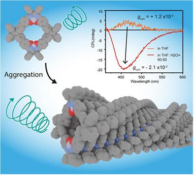 Solvent-Triggered Aggregation-Induced Reversal and Enhancement of Circularly Polarized Luminescence in Chiral Salen Metalla-Macrocycles