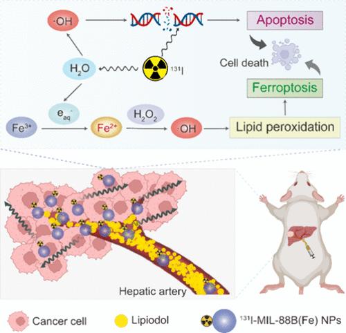 Turning Waste into Treasure: Radiation Byproduct-Induced Fe(III)/Fe(II) Conversion for Efficient Ferroptosis to Improve Iodine-131-Based Transarterial Radioembolization for Liver Tumors