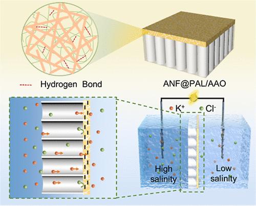 Clay-Based Nanofluidic Membrane with Enhanced Space Charge for Robust Osmotic Energy Harvesting