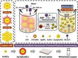 Colorimetric-fluorescent dual-mode nanosensor-powered enzyme immunoassay for ochratoxin A via alkaline phosphatase-mediated silver nanoparticle growth and fluorescence inner filter effect