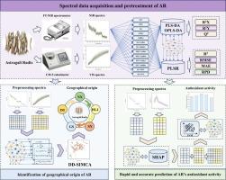 Spectroscopic techniques combined with DD-SIMCA model and explainable artificial intelligence for rapidly and accurately identifying the quality of Astragali Radix
