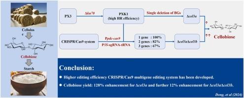 A tRNA-gRNA array-based CRISPR system for efficient and precise marker-free multiple gene editing of Trichoderma reesei to enhance cellobiose production