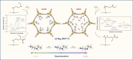 Tunable CO2 capture in n-ethylethylenediamine functionalized Mg2-MOF-74: unraveling the role of diamine basicity in reactivity and adsorption capacity