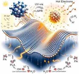 S-Pt coordination bond enhanced local surface plasmon resonance boosts photocatalytic H2 production coupled with high value-added products from plastic waste