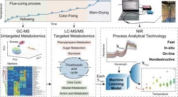 Investigation of carbon and nitrogen metabolism and online analysis of key substances in the tobacco leaf curing process using chromatography–mass spectrometry and near-infrared spectroscopy coupled with machine learning