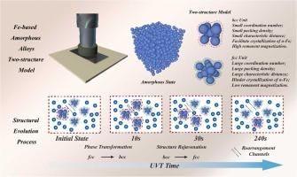 Structural evolution and crystallization kinetics of Fe-based amorphous alloys under ultrasonic vibrations treatment