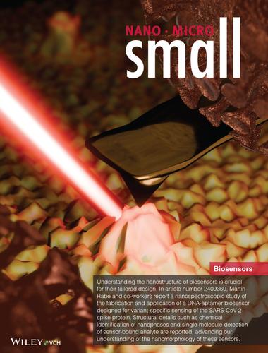 Nano-Phase Separation and Analyte Binding in Aptasensors Investigated by Nano-IR Spectroscopy (Small 19/2025)