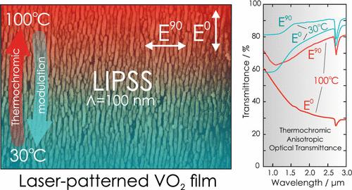 Anisotropic Vanadium Dioxide Nanogratings by Direct Laser-Induced Periodic Surface Structuring (LIPSS)