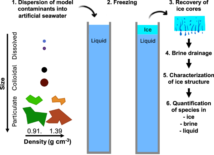Impact of contaminant size and density on their incorporation into sea ice