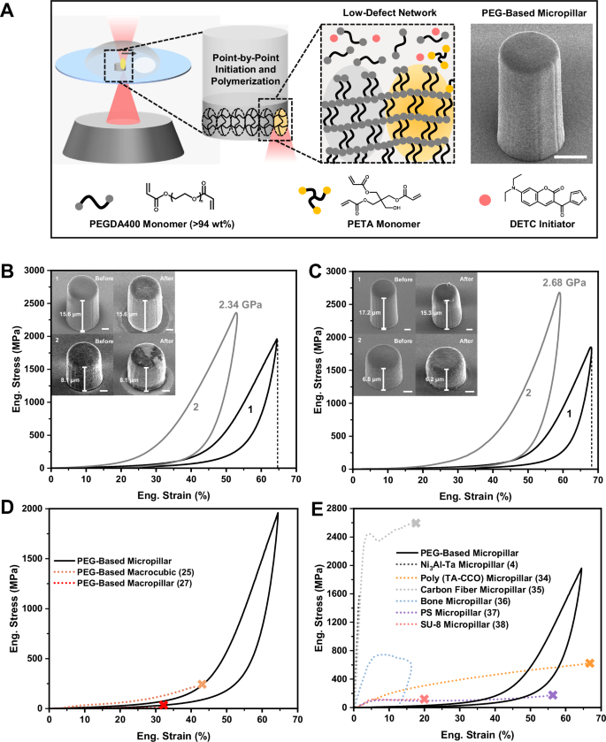 Micrometer-scale poly(ethylene glycol) with enhanced mechanical performance