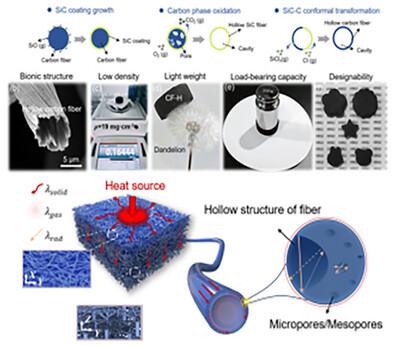 Hollow Carbon Fiber Architectures Fabricated via Carbide-Derived Carbon Strategy for Ultra-Lightweight Thermal Protection Systems