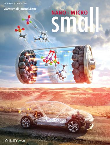 Achieving Enhanced High-Temperature Performance of Lithium-Ion Batteries via Salt-Inspired Interfacial Engineering (Small 19/2025)