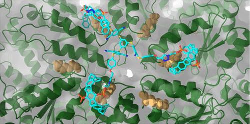 Molecular Tweezers Block the Functional Pore of a Protein Machine