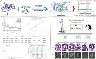 Explore the binding mechanism and dynamic variation of pea protein isolate-rutin complexes to effectively improve the foam performance of pea protein isolate