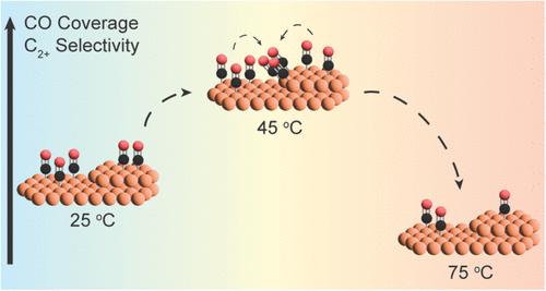 Temperature Effects on the Surface CO Population during CO2 Electroreduction over Copper