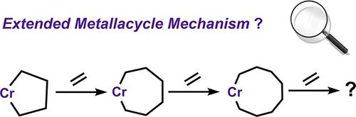 Overcoming Conformational Complexity to Elucidate Selective Ethylene Tetramerization Behavior