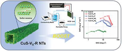 Sulfur Vacancies Enriched Copper Sulfide Nanotubes Boost Desalination Efficiency of Hybrid Capacitive Deionization