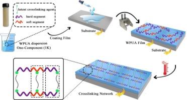 Development of a novel low-temperature curable one-component waterborne polyurethane acrylate coating with latent crosslinking for enhanced mechanical properties