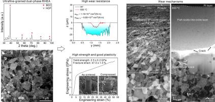 Wear behavior and microstructural evolution of a BCC-HCP dual-phase TiZrNbMoTa refractory high-entropy alloy at room and elevated temperatures