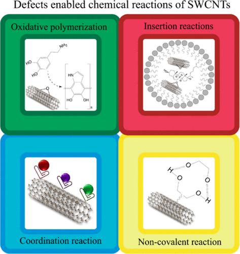 The Importance of Defects in Controlling the Chemistry of Single-Walled Carbon Nanotubes