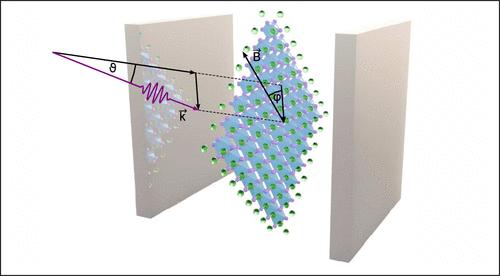 Magneto-Optics of Anisotropic Exciton Polaritons in Two-Dimensional Perovskites