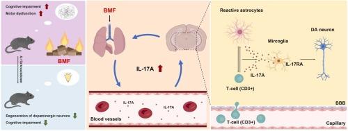 Biomass Fuel Induces Neuroinflammation and Neurodegeneration via the AstrocyteMicroglia IL-17A/IL-17RA Pathway